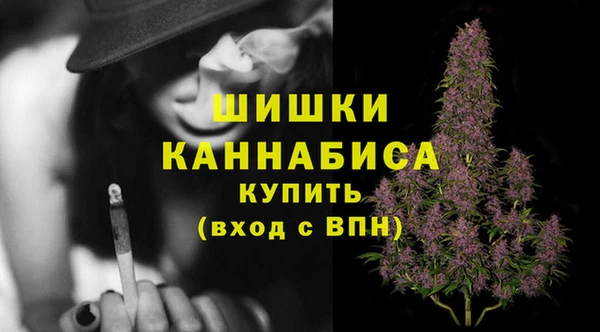 mdpv Новодвинск