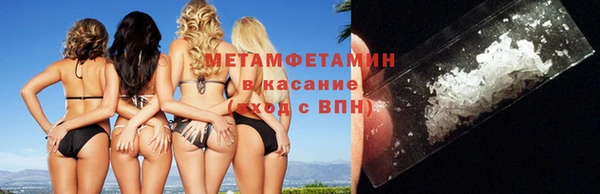 гидра Болохово