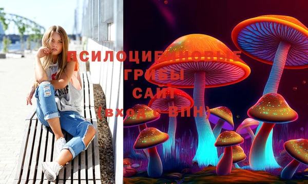 mdpv Новодвинск