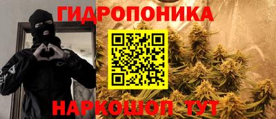 крисы Бийск