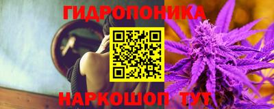 Альфа ПВП Бийск