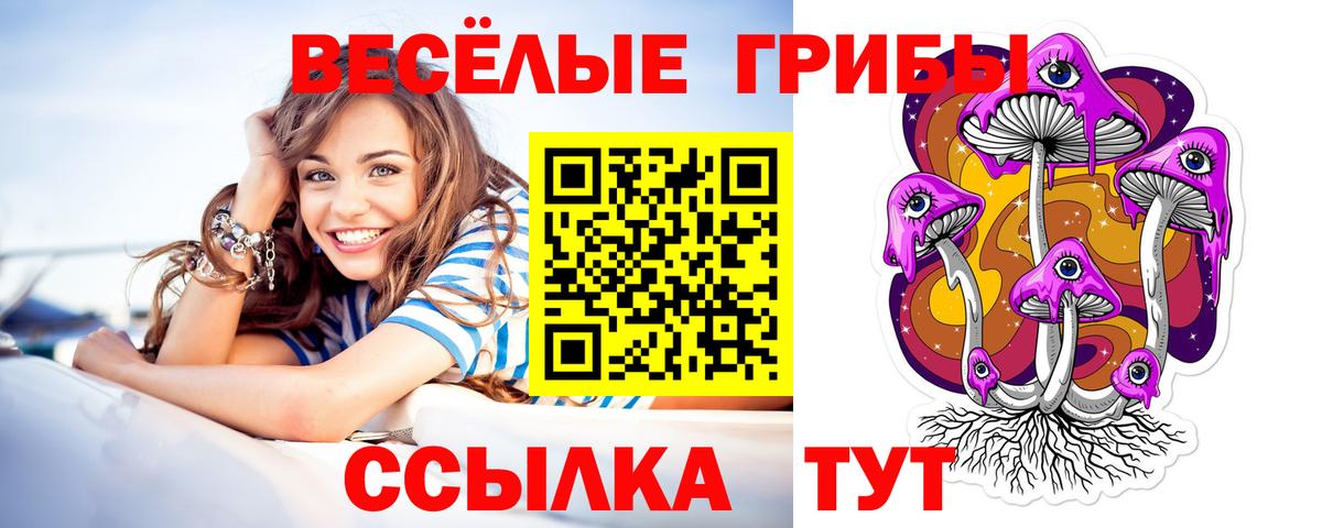 Владивосток  Псилоцибиновые грибы ЛСД  Вход с VPN  Псилоцибиновые грибы Psilocybine cubensis 